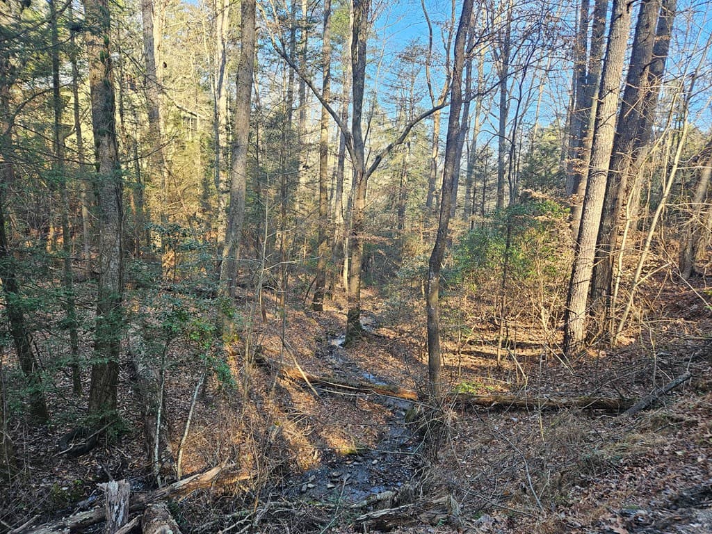 LT 1620 Nexus Drive, Ellijay GA 30540 - Photo