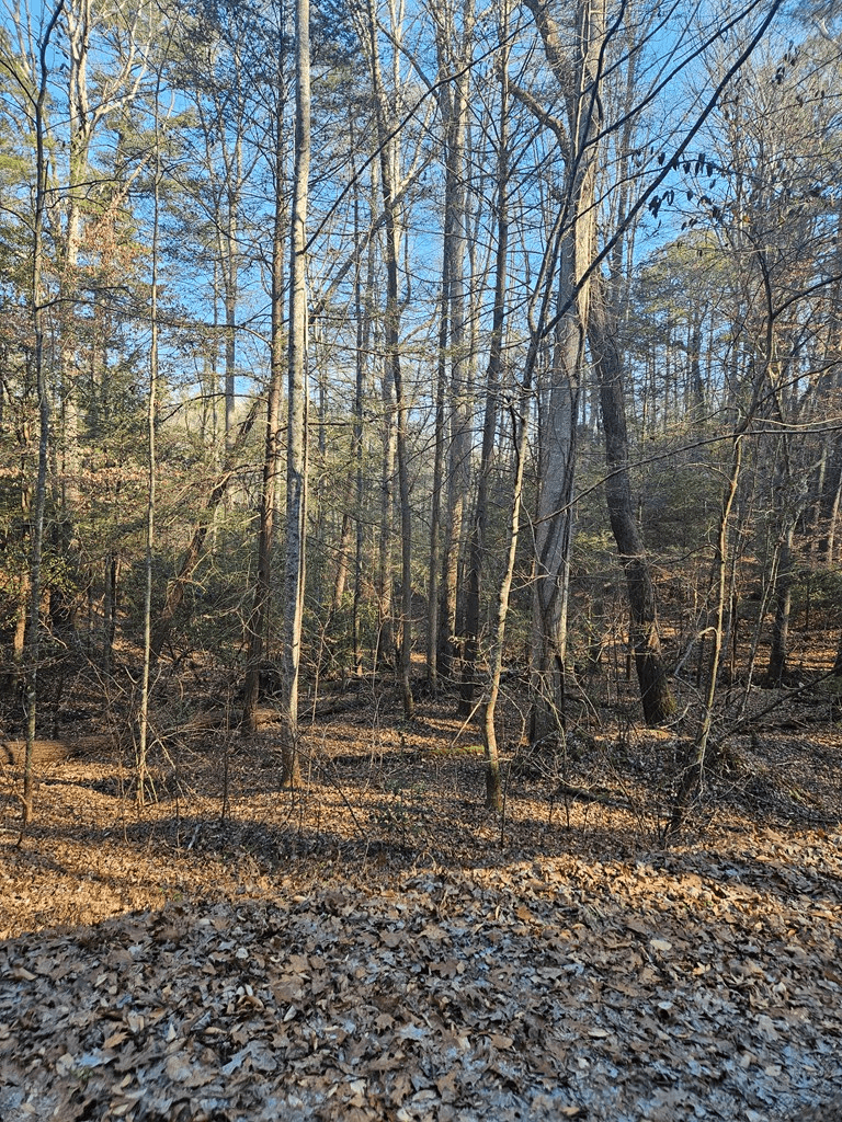 LT 1620 Nexus Drive, Ellijay GA 30540 - Photo