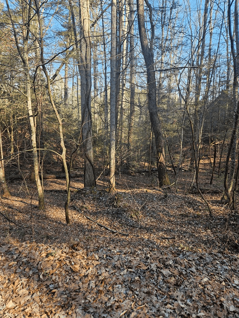 LT 1620 Nexus Drive, Ellijay GA 30540 - Photo