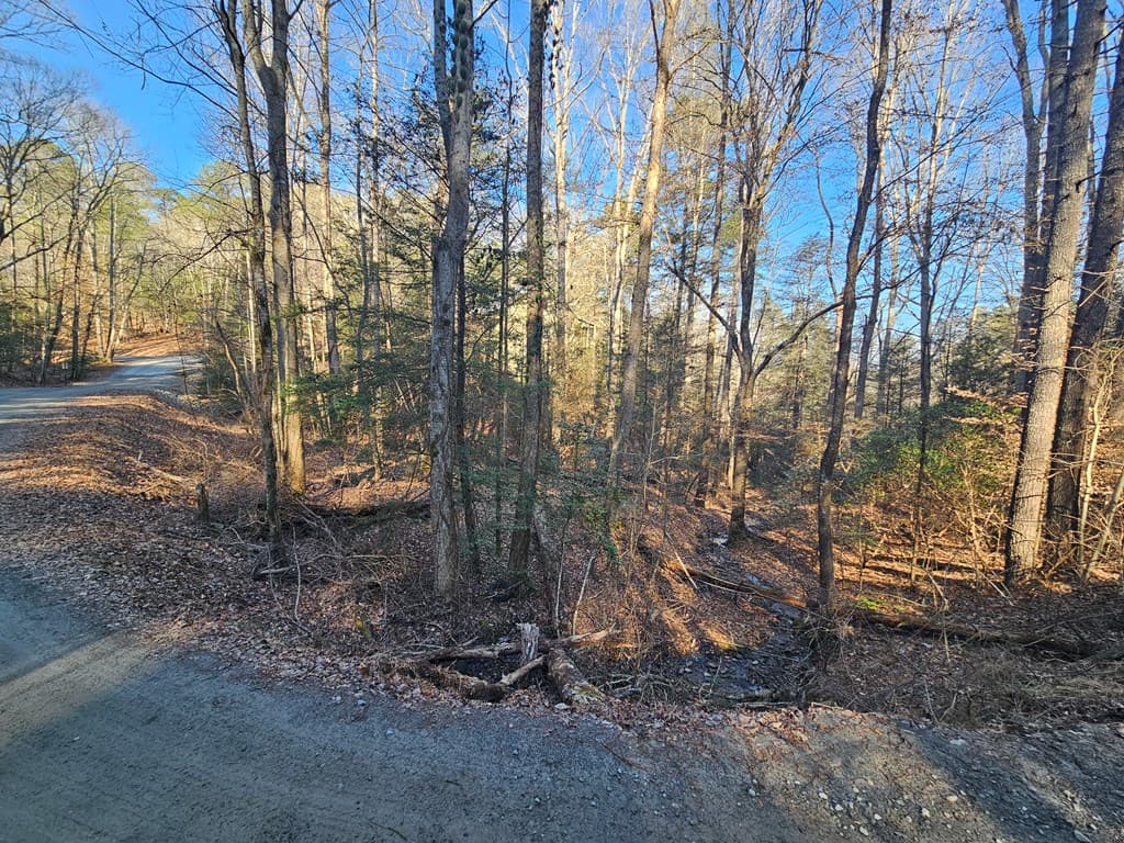 LT 1620 Nexus Drive, Ellijay GA 30540 - Photo