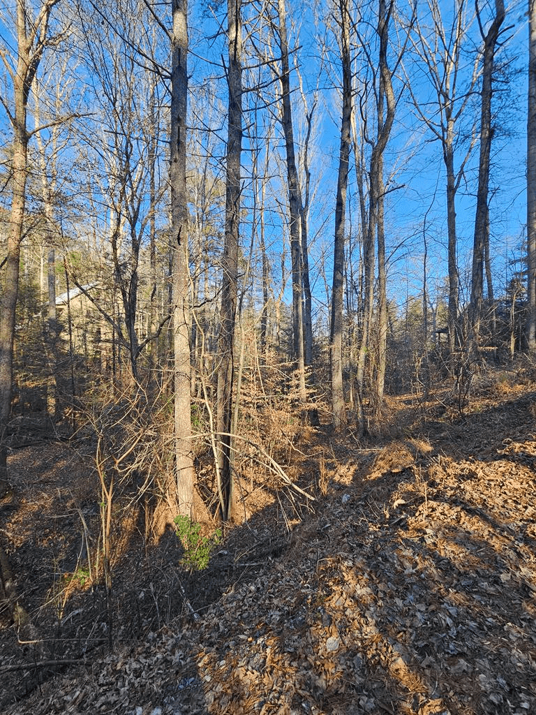 LT 1620 Nexus Drive, Ellijay GA 30540 - Primary photo
