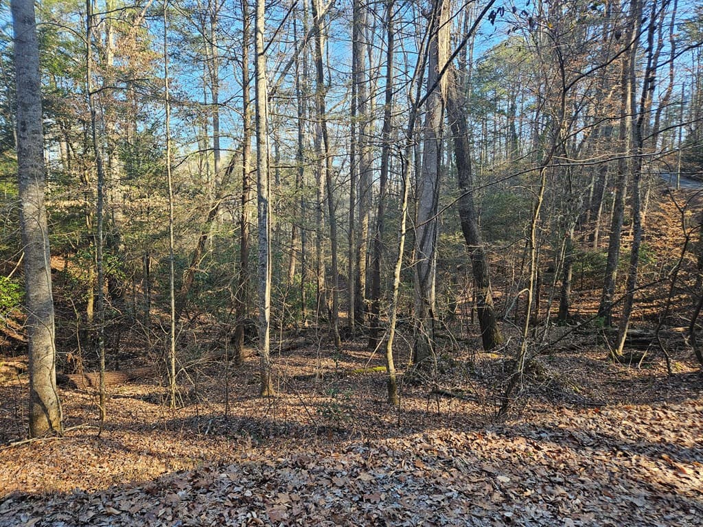 LT 1620 Nexus Drive, Ellijay GA 30540 - Photo