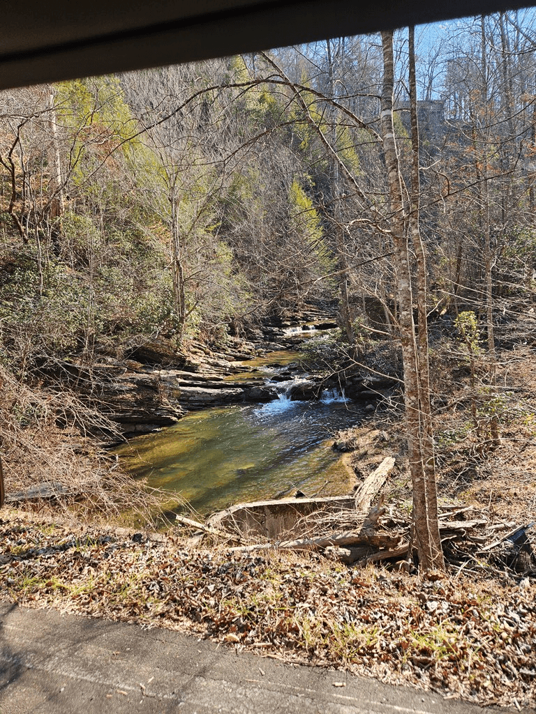 LT 1620 Nexus Drive, Ellijay GA 30540 - Photo