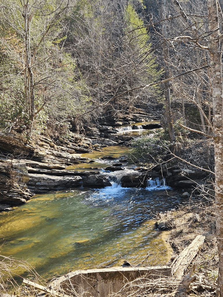 LT 1620 Nexus Drive, Ellijay GA 30540 - Photo