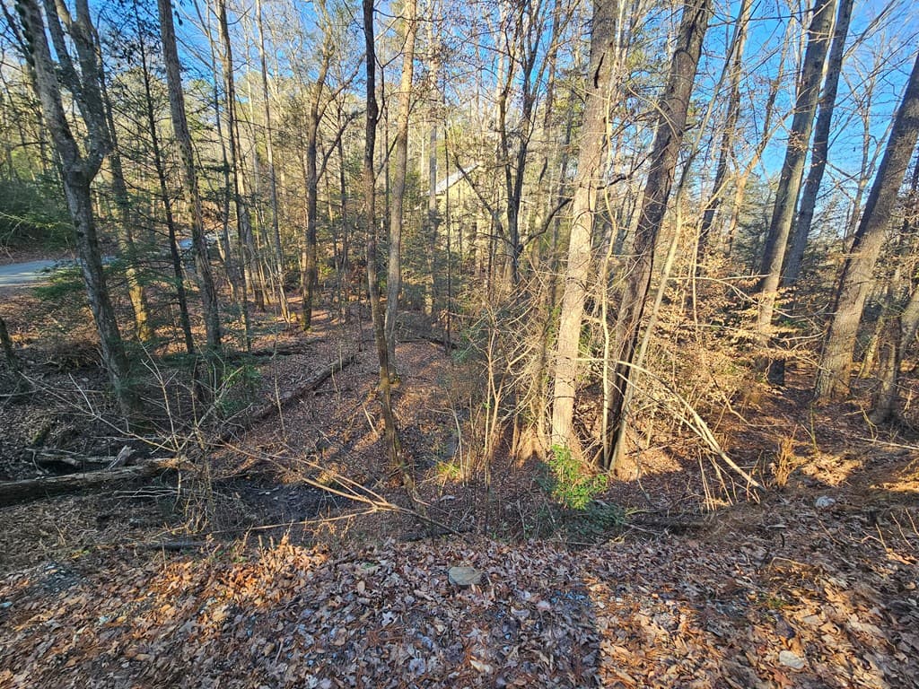 LT 1620 Nexus Drive, Ellijay GA 30540 - Photo