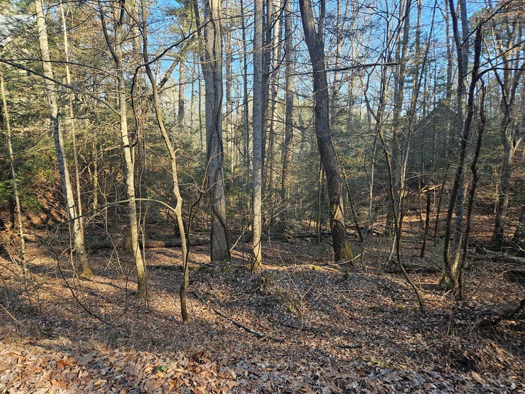 LT 1620 Nexus Drive, Ellijay GA 30540 - Photo