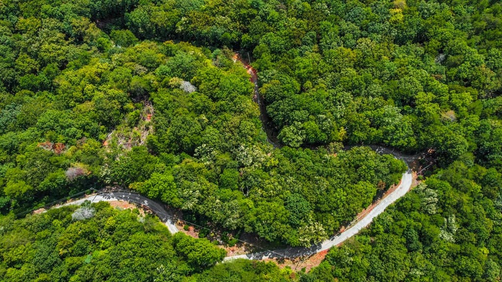 4.69 AC Rockwater Road, Ellijay GA 30536 - Photo