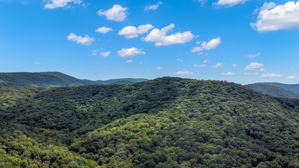 4.69 AC Rockwater Road, Ellijay GA 30536 - Primary photo