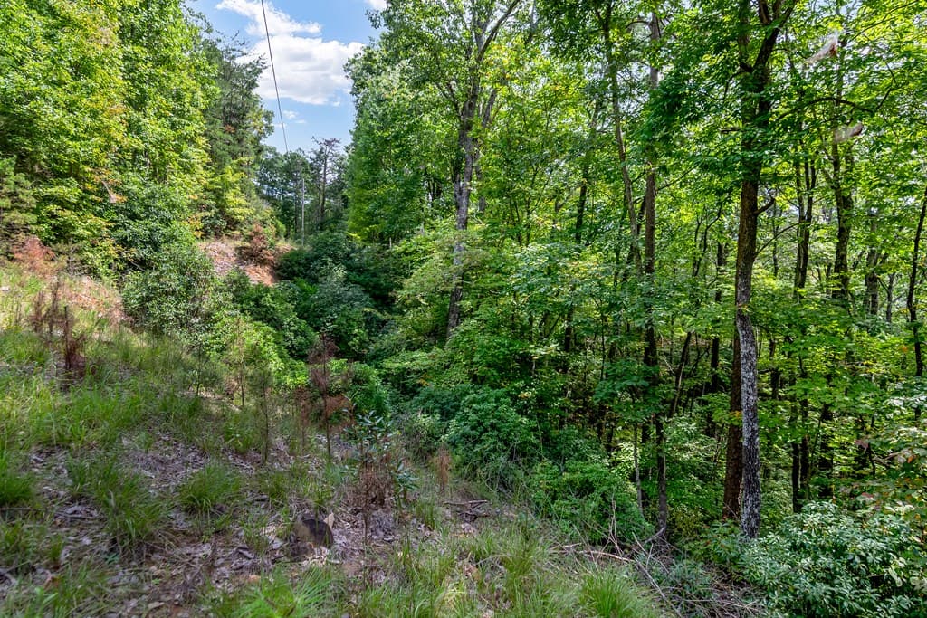 4.69 AC Rockwater Road, Ellijay GA 30536 - Photo