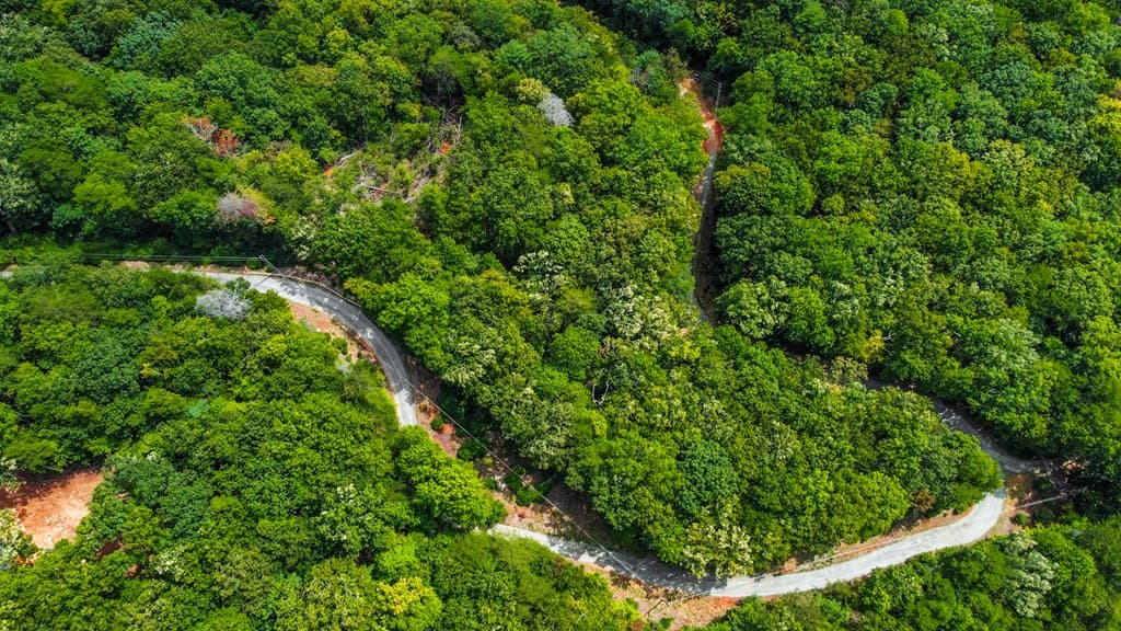 4.69 AC Rockwater Road, Ellijay GA 30536 - Photo