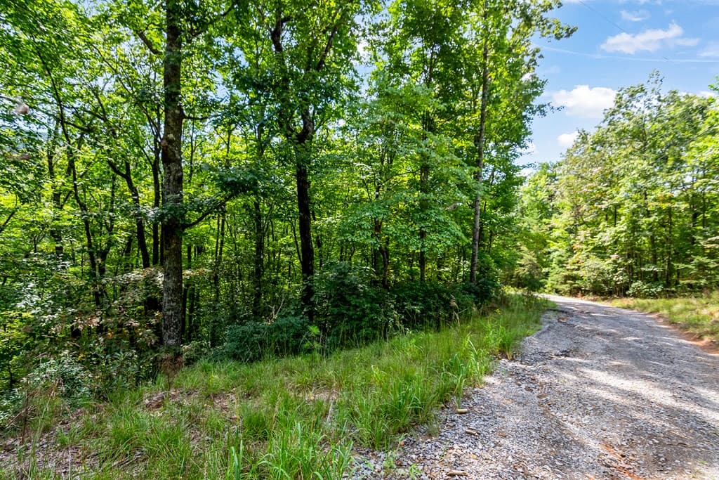 4.69 AC Rockwater Road, Ellijay GA 30536 - Photo