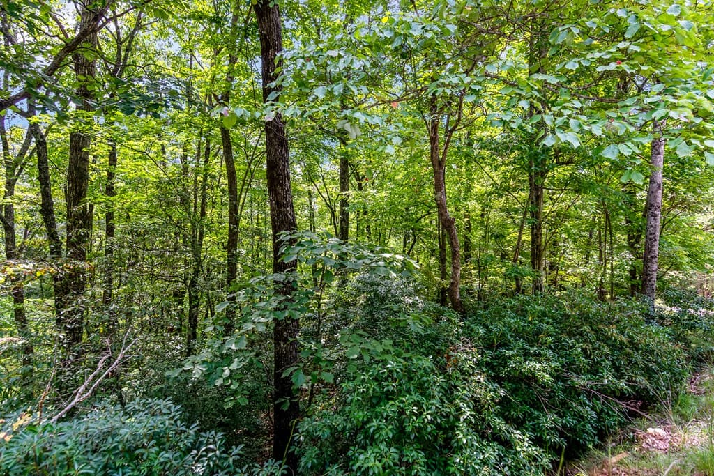 4.69 AC Rockwater Road, Ellijay GA 30536 - Photo