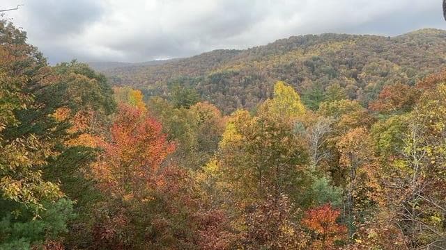 101 Falling Rock Road, Blue Ridge GA 30513 - Photo