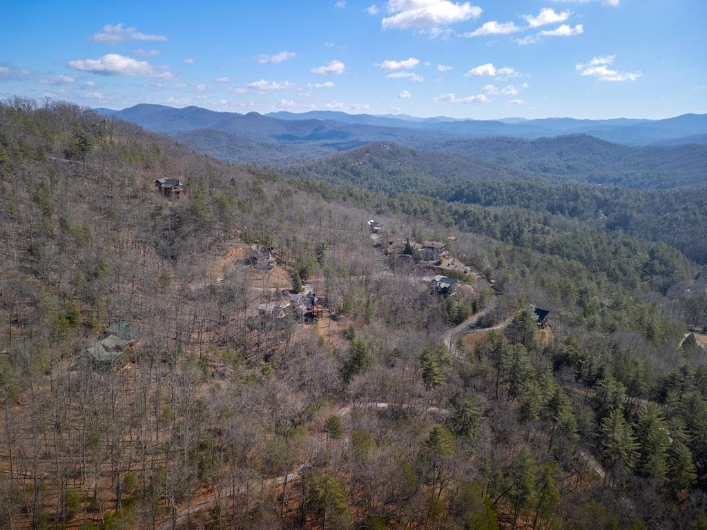 101 Falling Rock Road, Blue Ridge GA 30513 - Photo