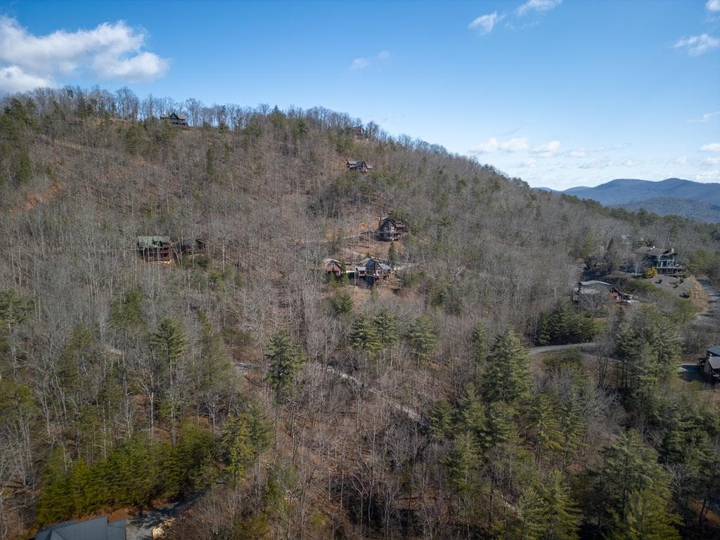 101 Falling Rock Road, Blue Ridge GA 30513 - Photo