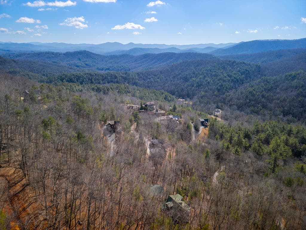 101 Falling Rock Road, Blue Ridge GA 30513 - Photo