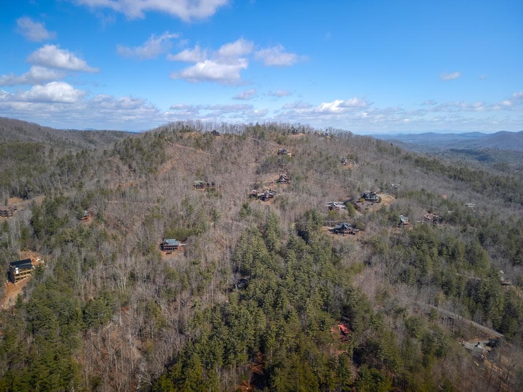101 Falling Rock Road, Blue Ridge GA 30513 - Photo