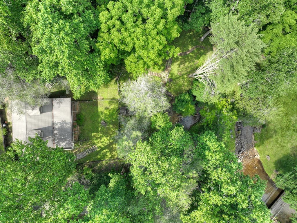 106 Butler Creek Road, Cherry Log GA 30522 - Photo