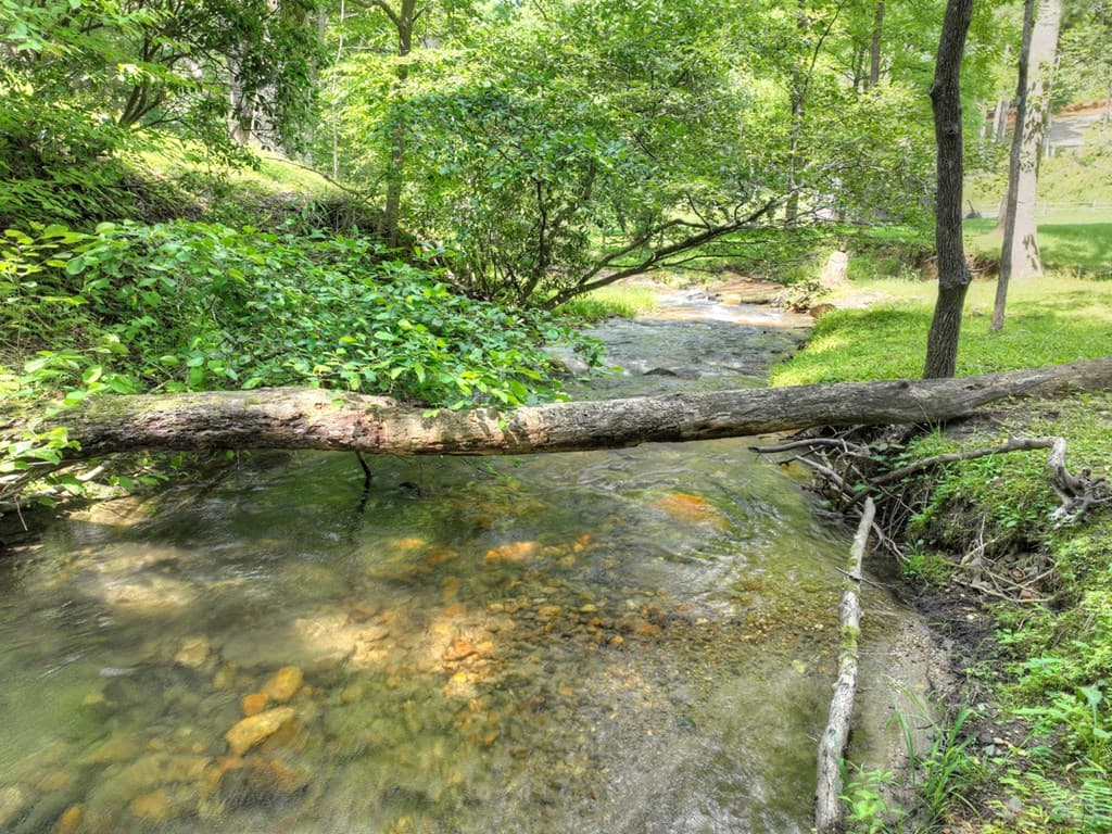 106 Butler Creek Road, Cherry Log GA 30522 - Photo