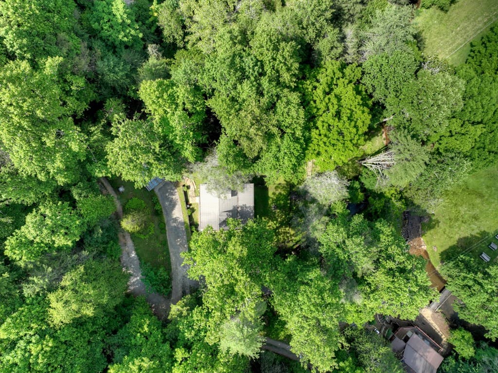 106 Butler Creek Road, Cherry Log GA 30522 - Photo