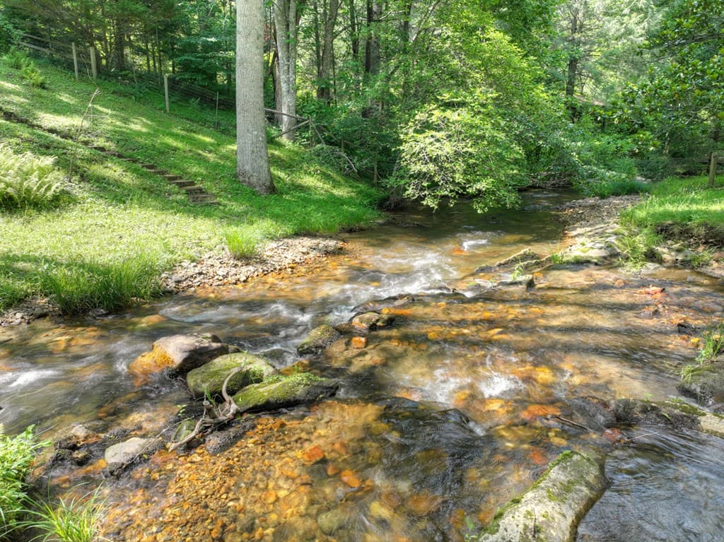 106 Butler Creek Road, Cherry Log GA 30522 - Photo