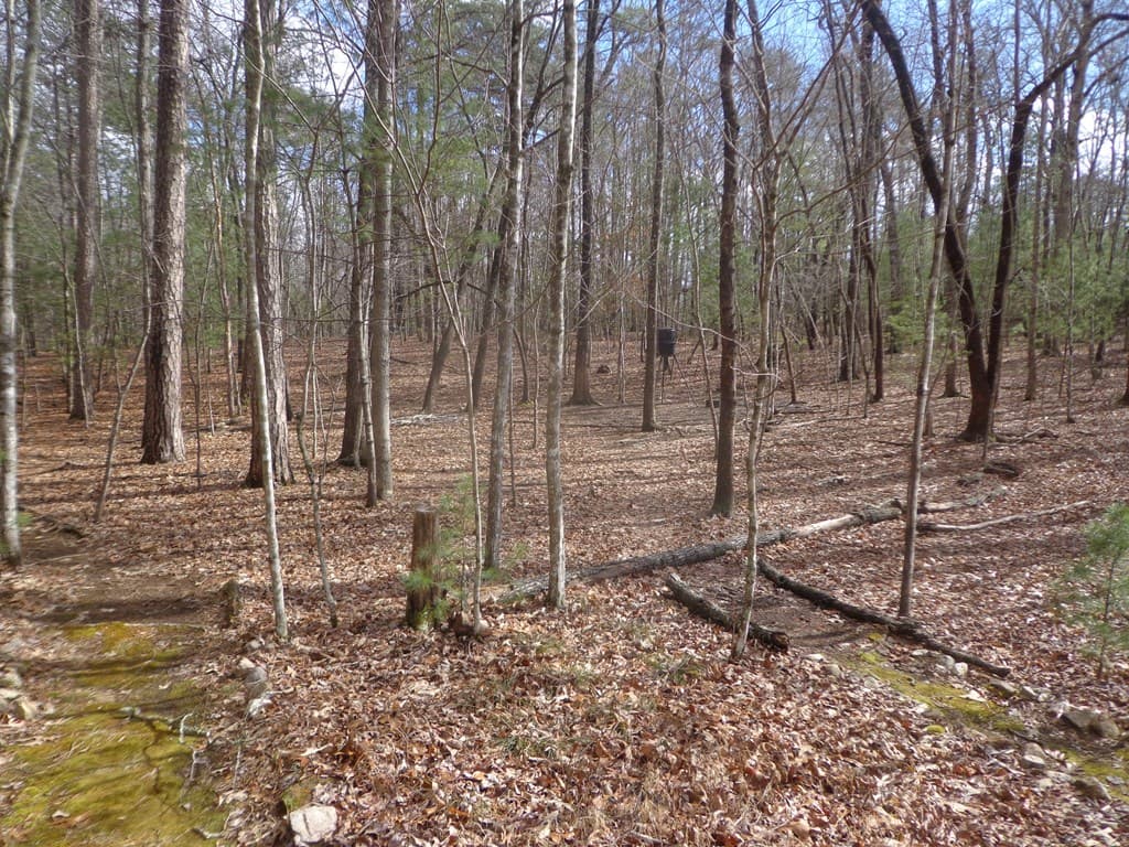 84 Victory Ridge Road, Morganton GA 30560 - Photo