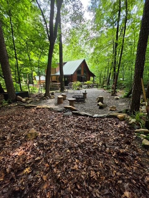 84 Victory Ridge Road, Morganton GA 30560 - Photo