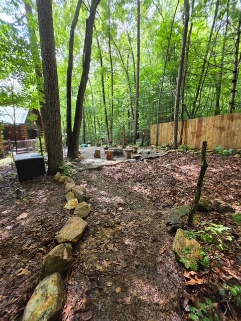 84 Victory Ridge Road, Morganton GA 30560 - Photo