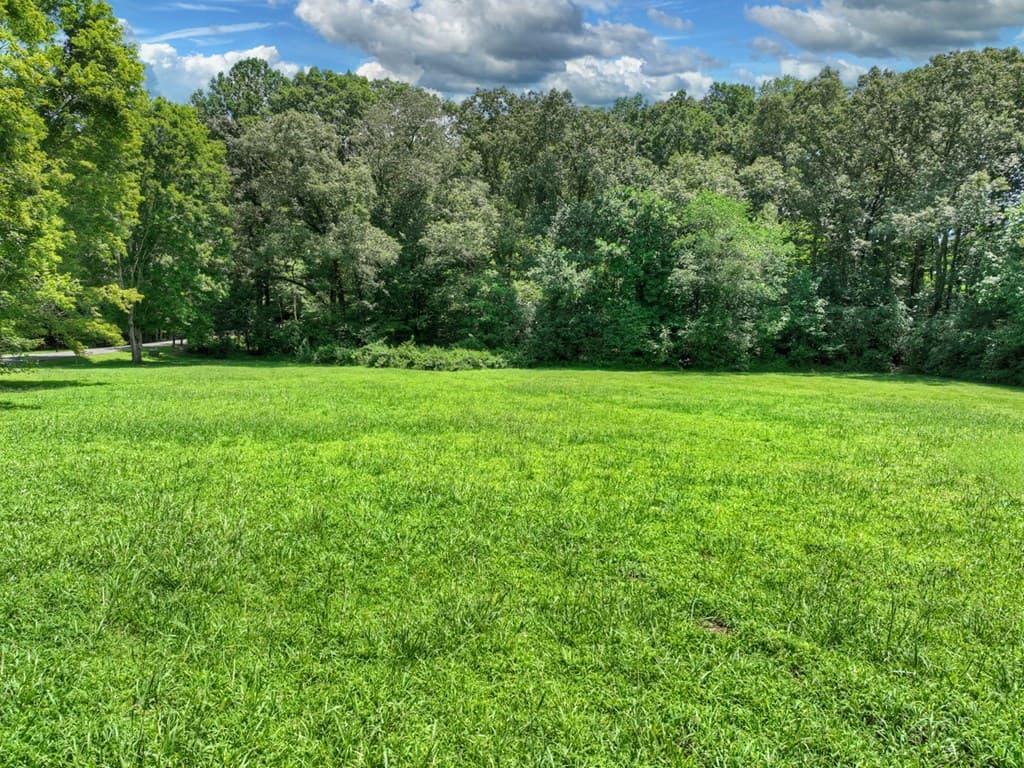 Lot 10 Cartecay River Run, Ellijay GA 30536 - Photo