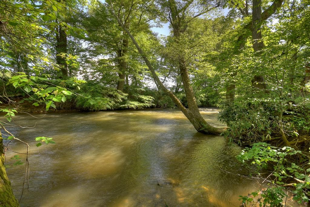 Lot 10 Cartecay River Run, Ellijay GA 30536 - Photo