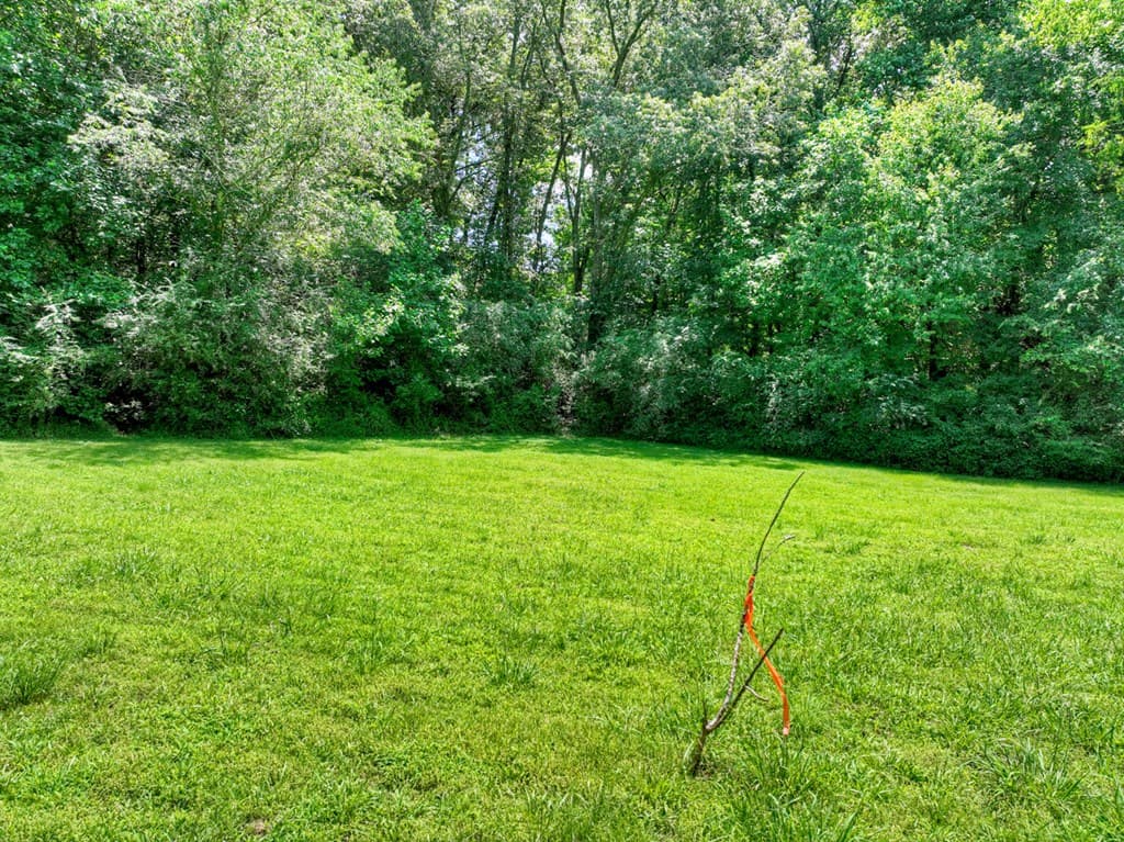 Lot 10 Cartecay River Run, Ellijay GA 30536 - Photo