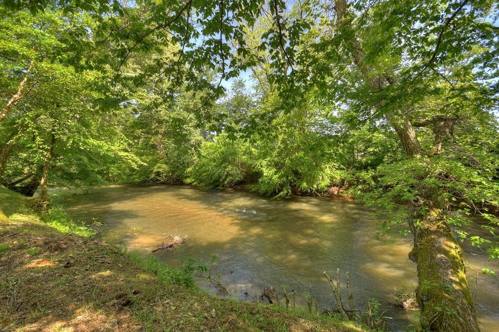 Lot 10 Cartecay River Run, Ellijay GA 30536 - Photo