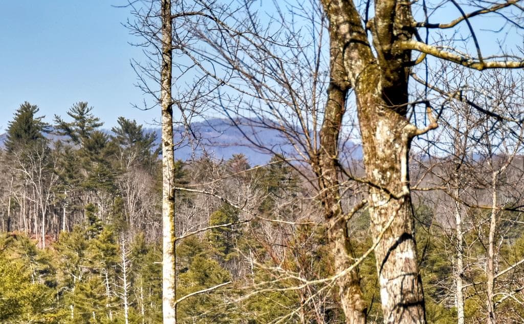 1312 Hicks Ford Road, Ellijay GA 30540 - Photo