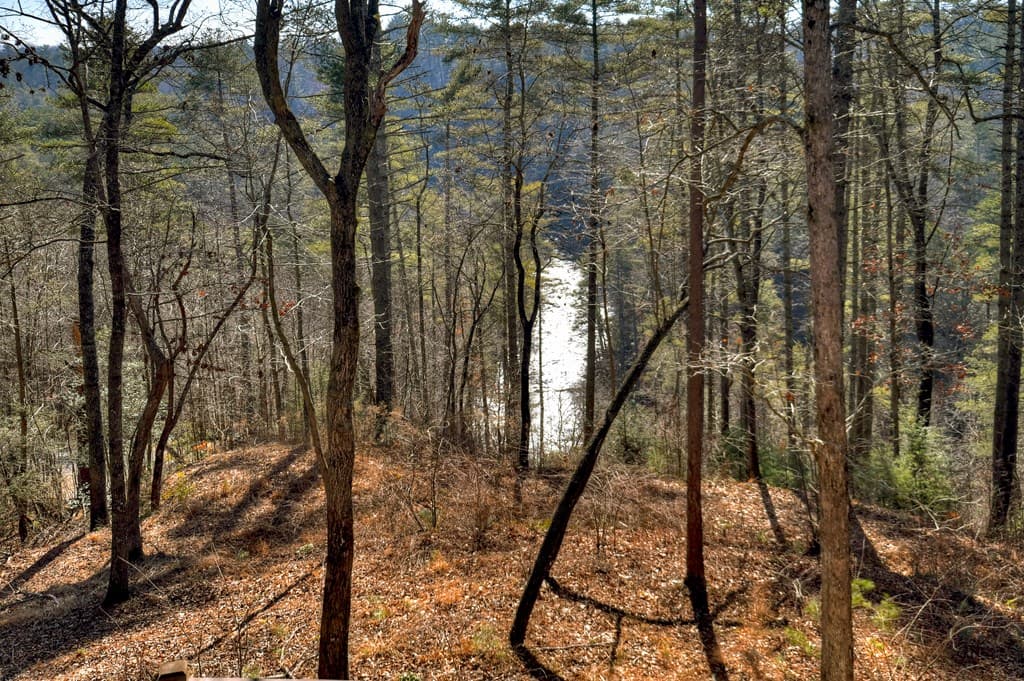 1312 Hicks Ford Road, Ellijay GA 30540 - Photo