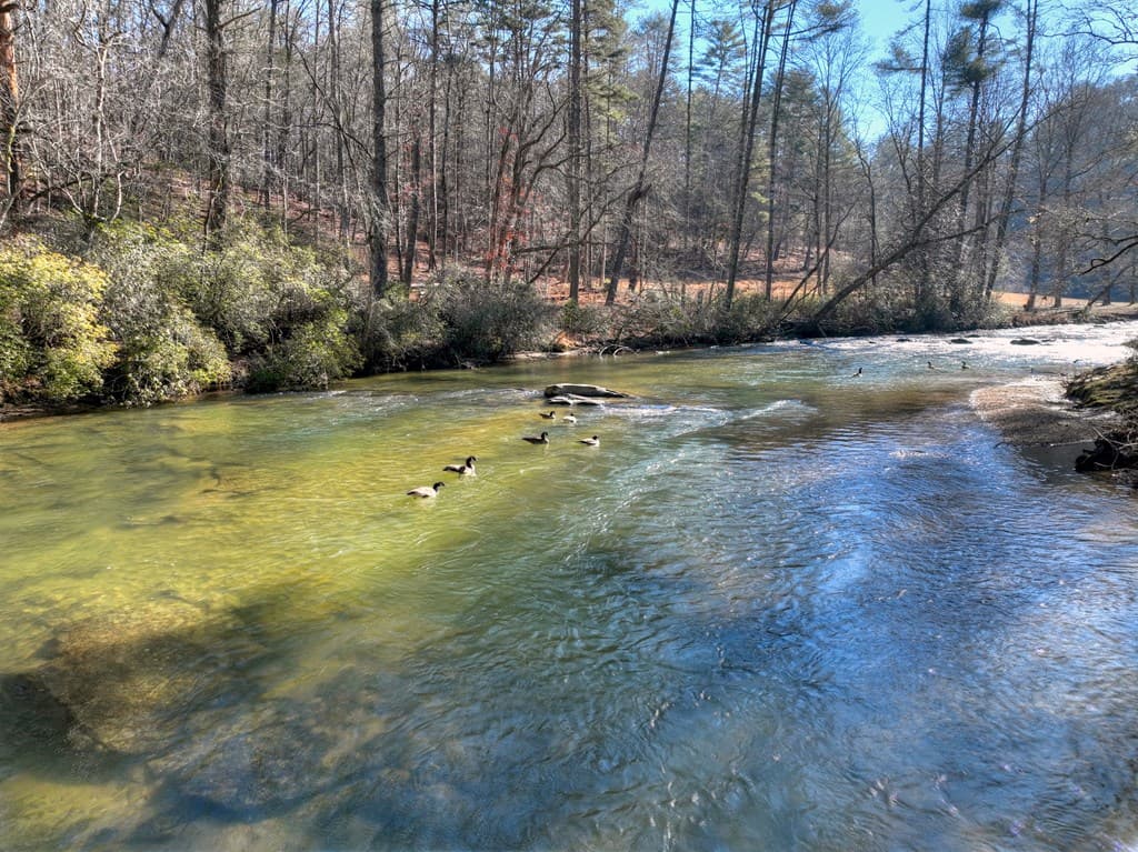 1312 Hicks Ford Road, Ellijay GA 30540 - Photo