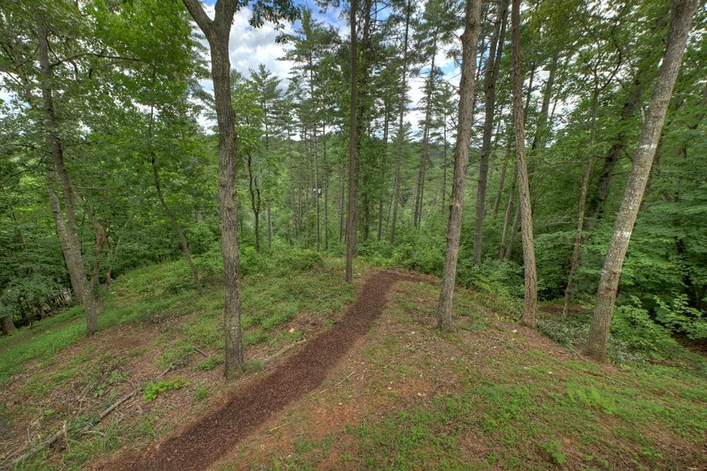 1312 Hicks Ford Road, Ellijay GA 30540 - Photo