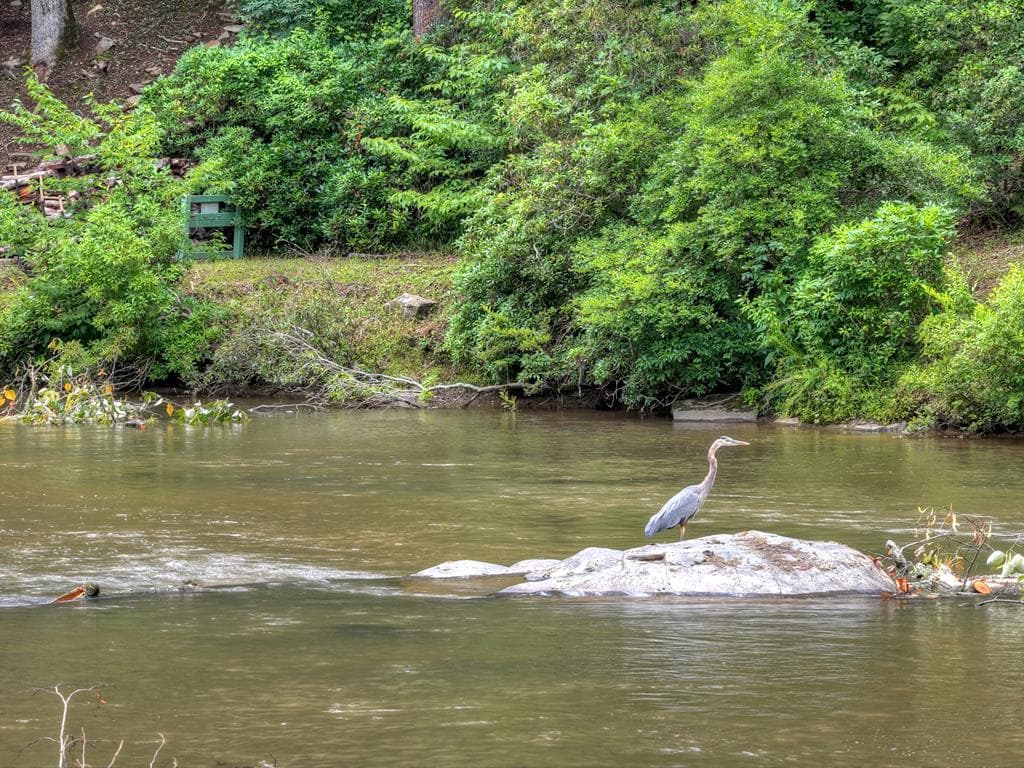 1312 Hicks Ford Road, Ellijay GA 30540 - Photo