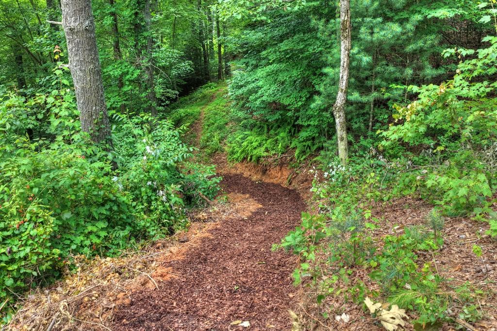 1312 Hicks Ford Road, Ellijay GA 30540 - Photo