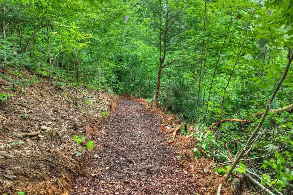 1312 Hicks Ford Road, Ellijay GA 30540 - Photo