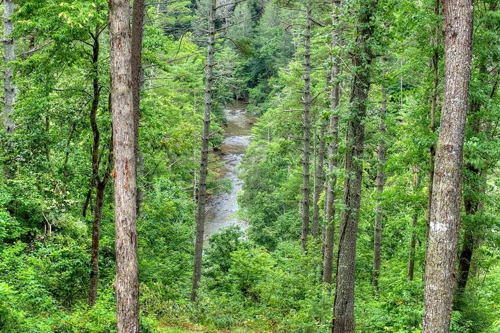 1312 Hicks Ford Road, Ellijay GA 30540 - Photo