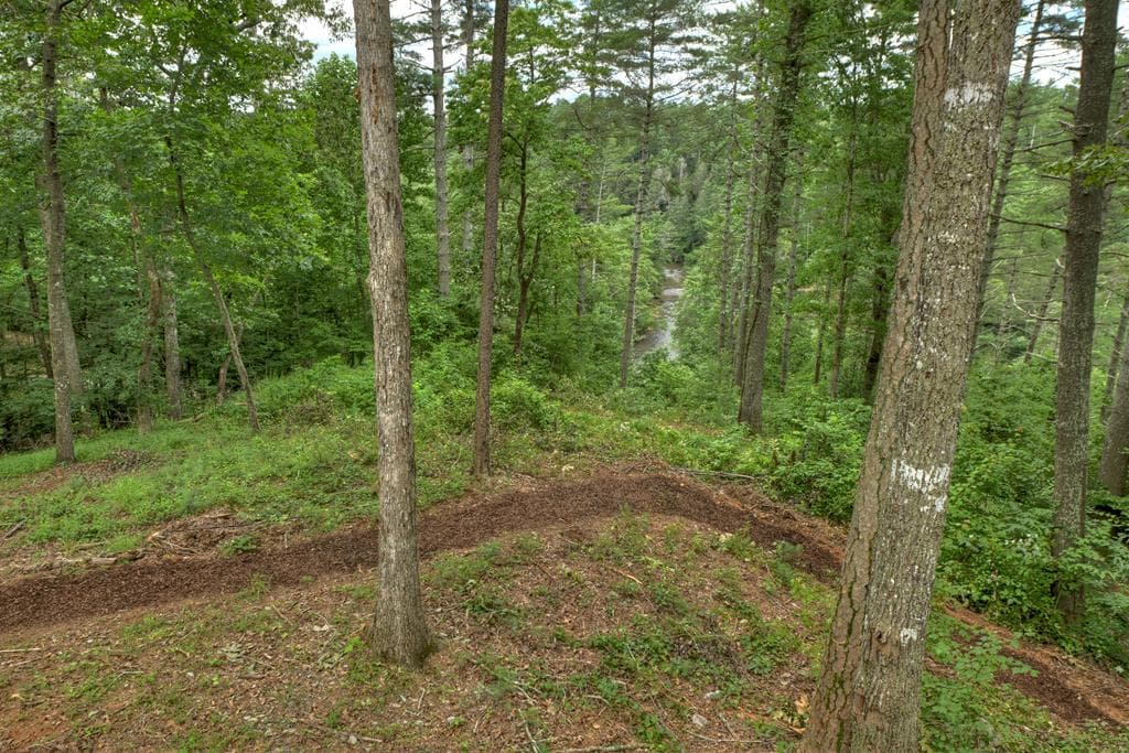1312 Hicks Ford Road, Ellijay GA 30540 - Photo