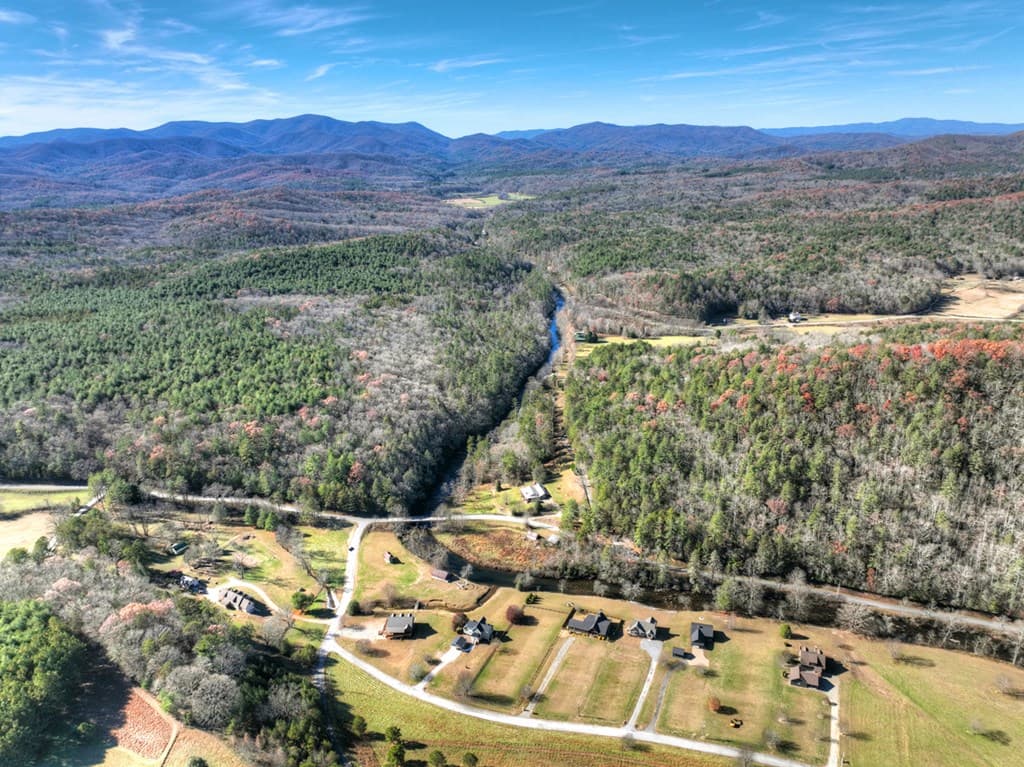 47 Downy Road, Blue Ridge GA 30513 - Photo