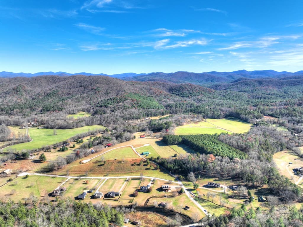 47 Downy Road, Blue Ridge GA 30513 - Photo