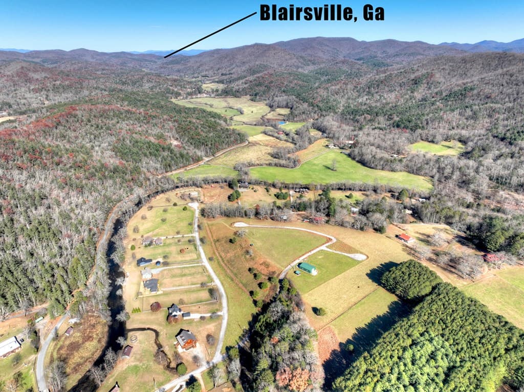 47 Downy Road, Blue Ridge GA 30513 - Photo