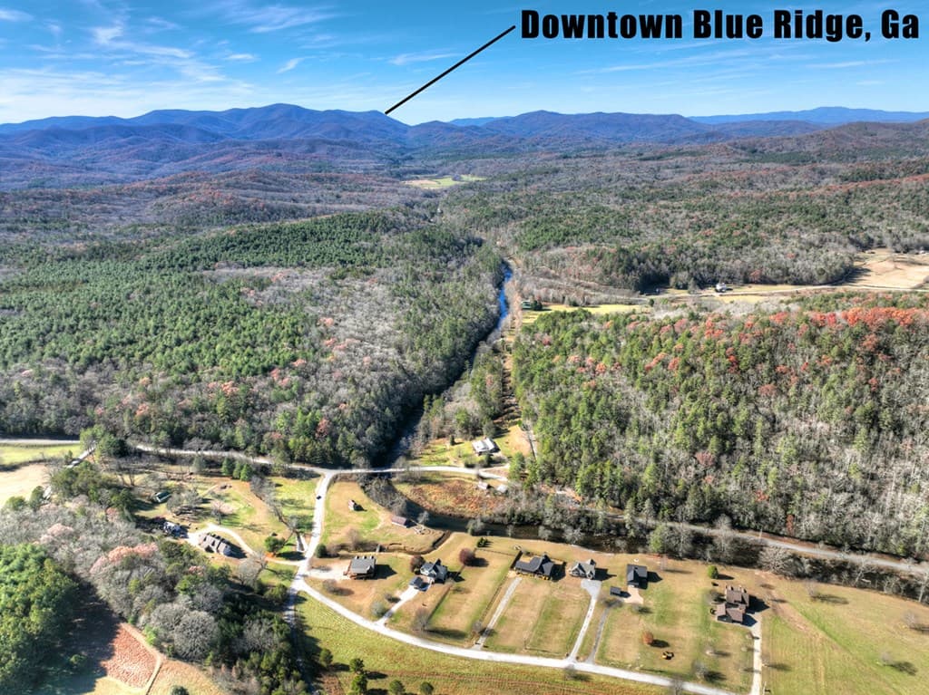 47 Downy Road, Blue Ridge GA 30513 - Photo