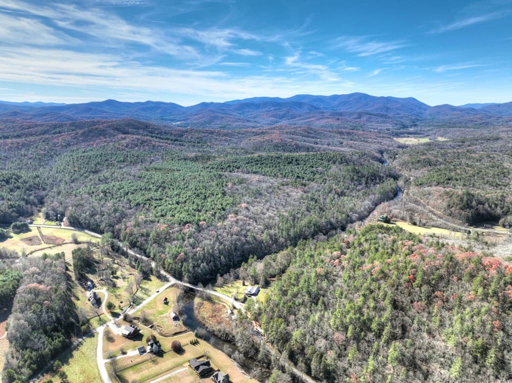 47 Downy Road, Blue Ridge GA 30513 - Photo