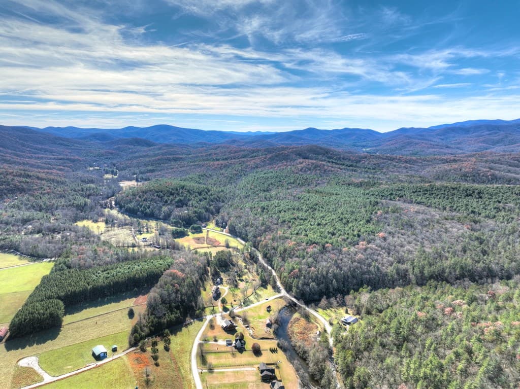 47 Downy Road, Blue Ridge GA 30513 - Photo