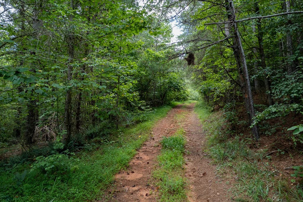 13.59 AC Ridgeway Church Road, Ellijay GA 30540 - Photo