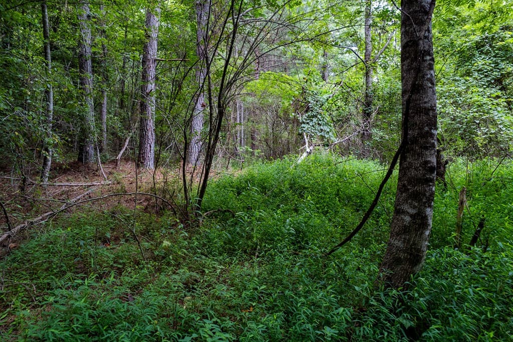 13.59 AC Ridgeway Church Road, Ellijay GA 30540 - Photo