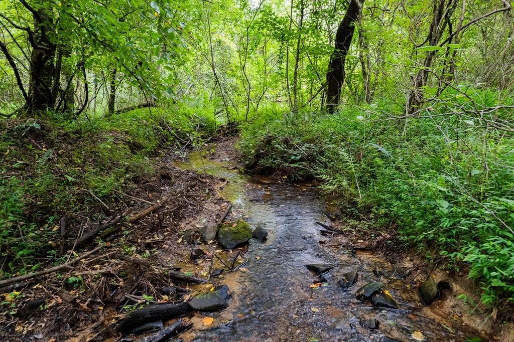 13.59 AC Ridgeway Church Road, Ellijay GA 30540 - Photo